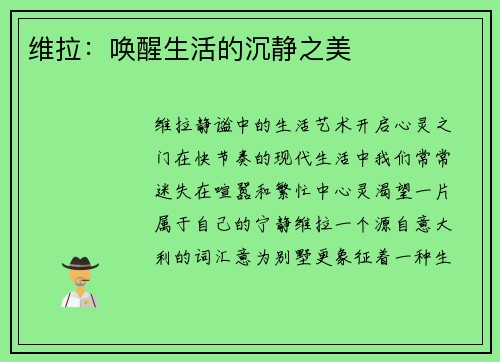 维拉：唤醒生活的沉静之美