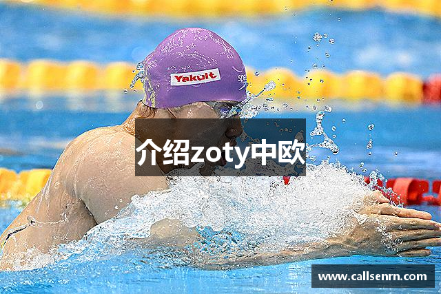 介绍zoty中欧